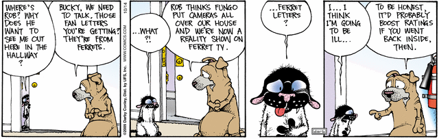 fuzzy
